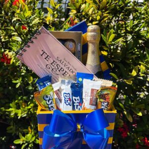 Box Salvador Premium